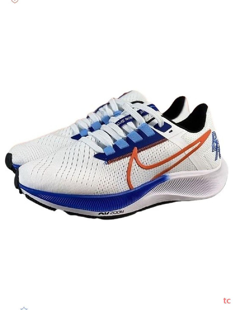 Кроссовки Nike Pegasus 38 #1