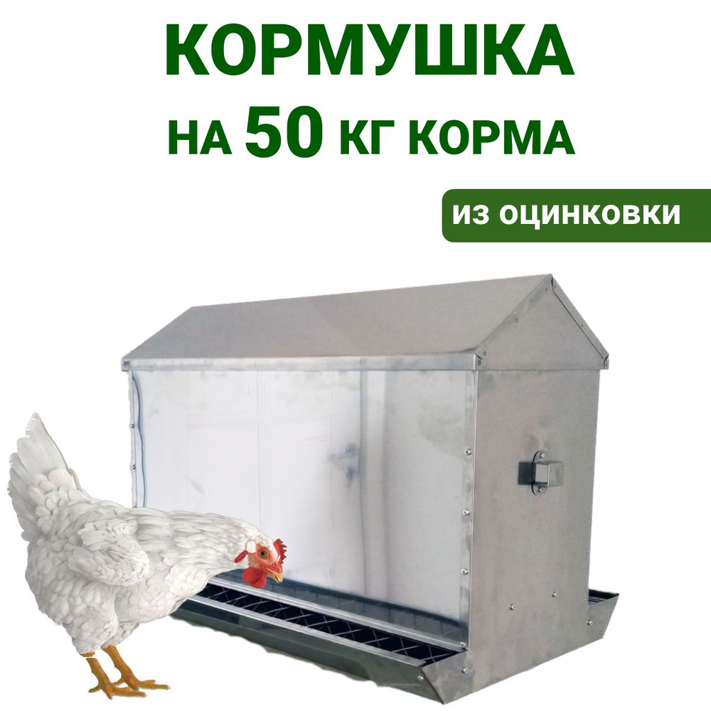 Кормушки для кур – основные требования и виды 🐔 | Курочка | Дзен