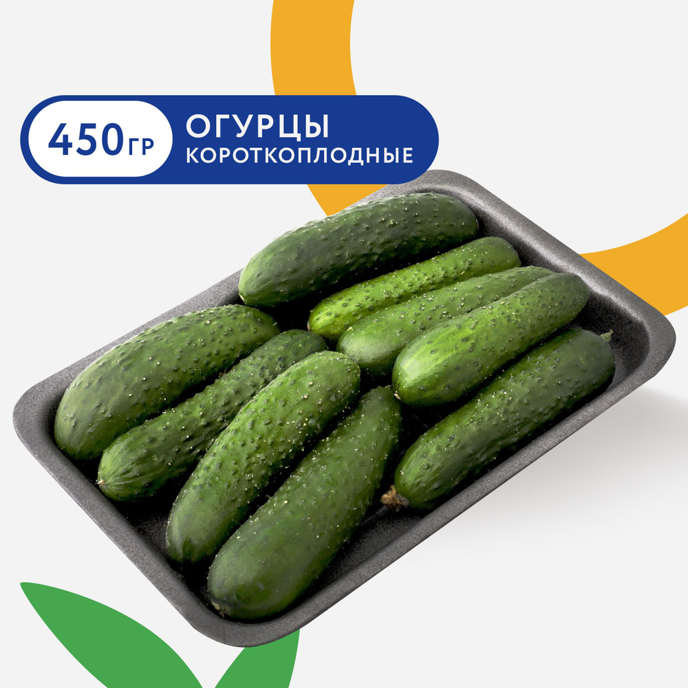 Огурец 450 г Россия #1