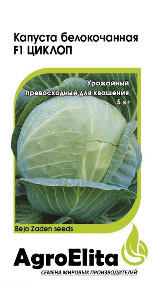 Капуста б/к Циклоп F1 10 шт Саката (АгроЭлита) Голландия / В заказе: 10 пачек семян  #1