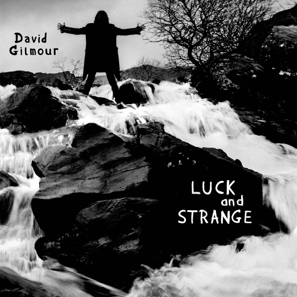 Виниловая пластинка David Gilmour - Luck And Strange Black Vinyl (198028046114) #1