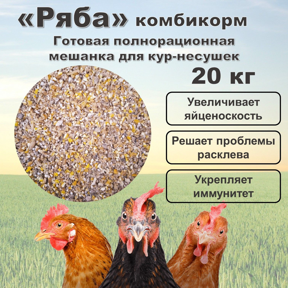 Комбикорм для кур несушек "Ряба" (Несушка продуктивная) готовая мешанка, 20 кг  #1