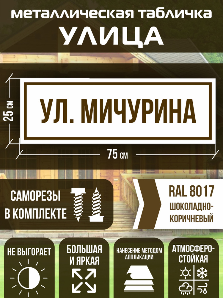 Адресная табличка на дом улица Мичурина RAL 8017 коричневая  #1