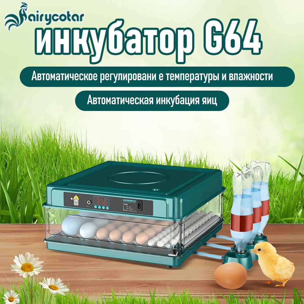 Инкубатор для яиц купить на OZON по низкой цене (2049521903)