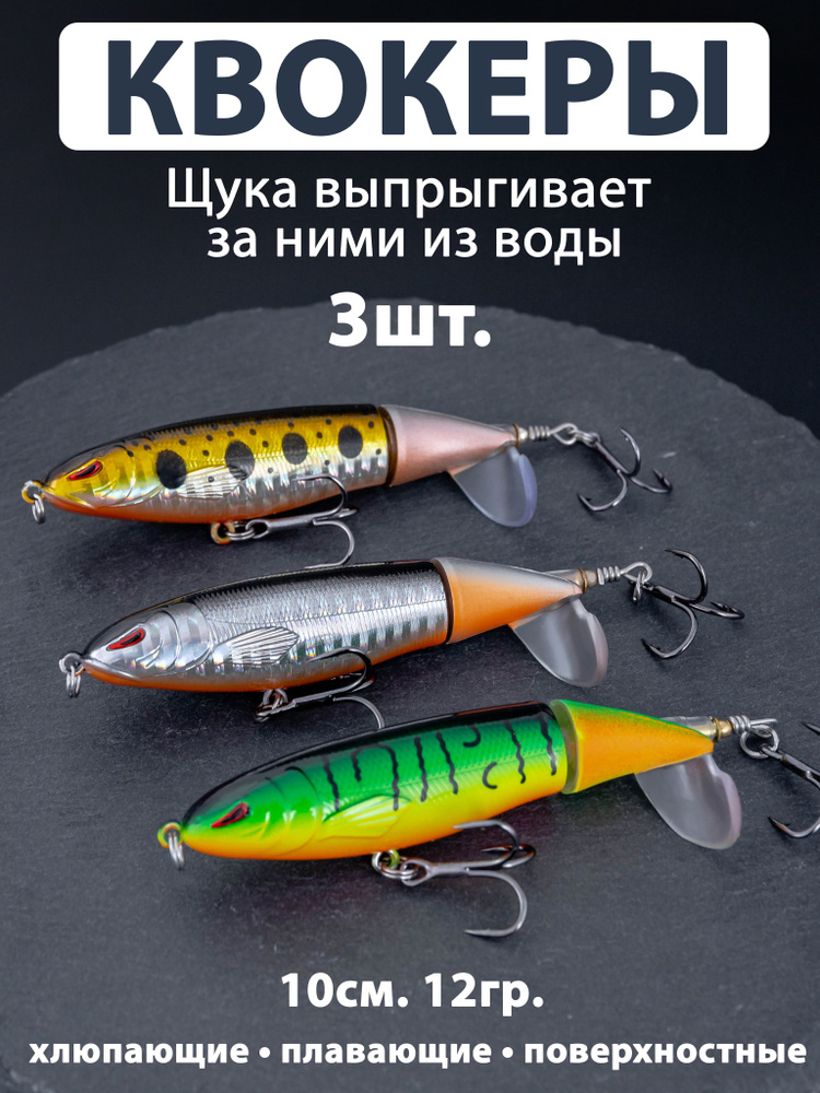 Поппер #1
