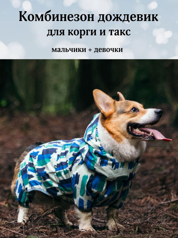 Дождевик комбинезон для корги #1