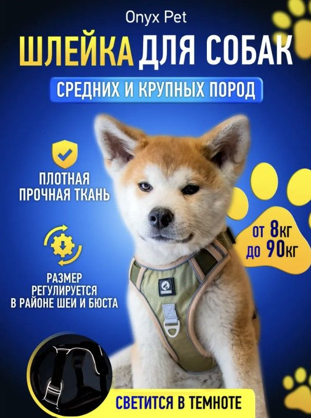 Шлейка #1