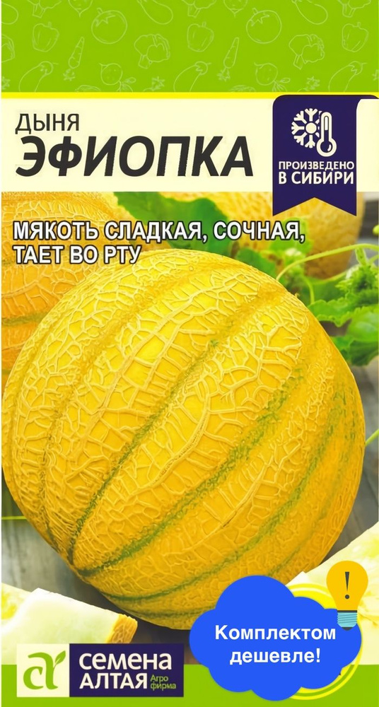 Дыня Эфиопка #1