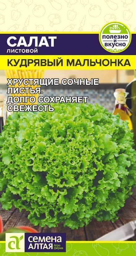 Семена Салат Кудрявый Мальчонка/Семена Алтая/цп 0,5 гр. #1