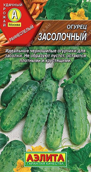 Семена огурцов Засолочный #1