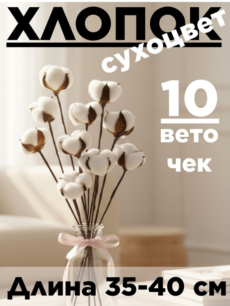 Сухоцветы Хлопок 30-35 см 10 веточек. Айвори #1