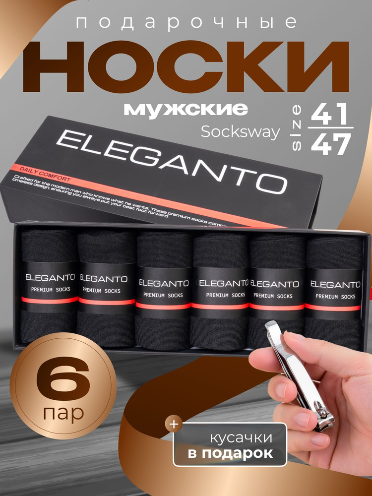 Носки SockSway мужские, 6 пар #1