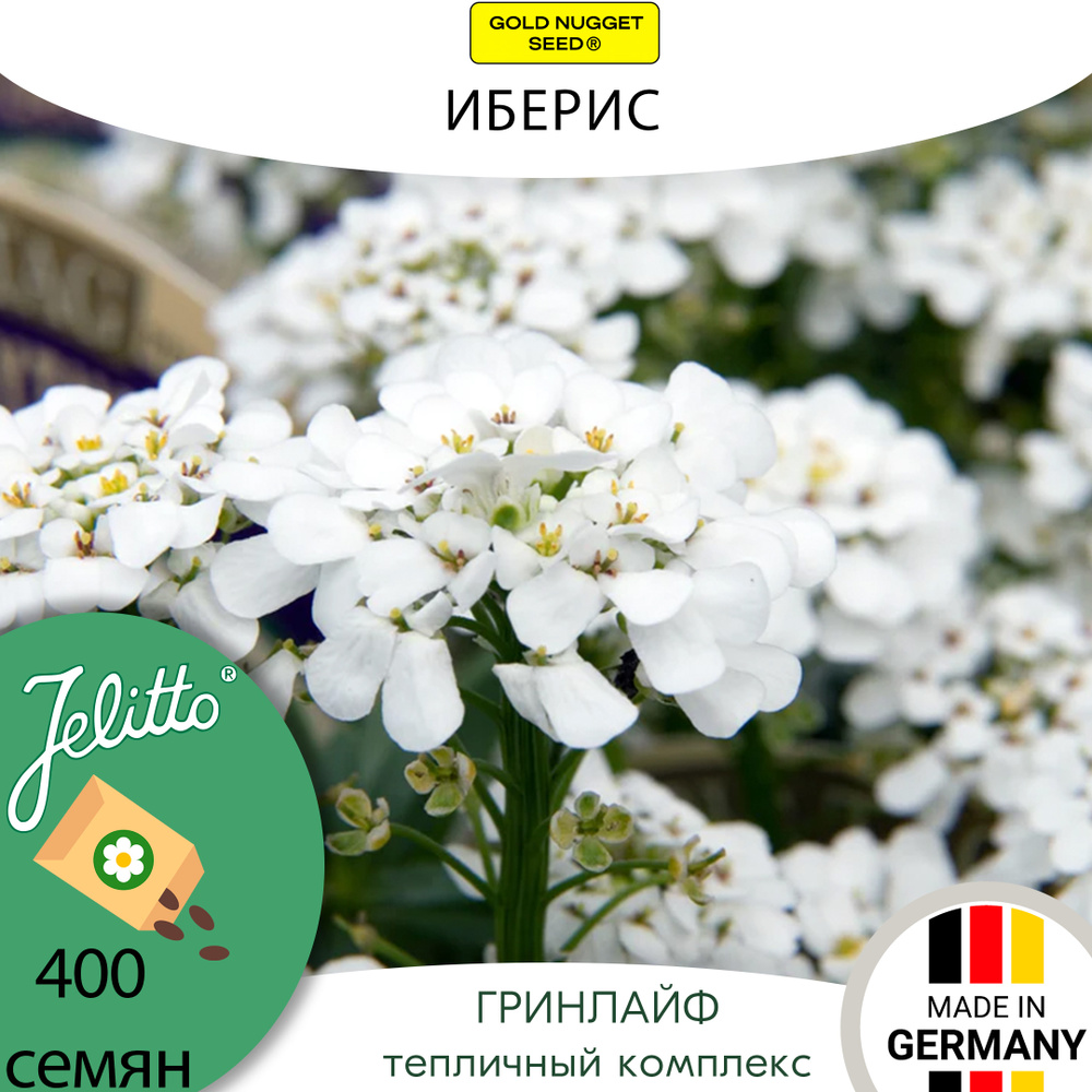 Семена Jelitto Иберис (IBERIS sempervirens 'Snow Cushion') 400 семян #1