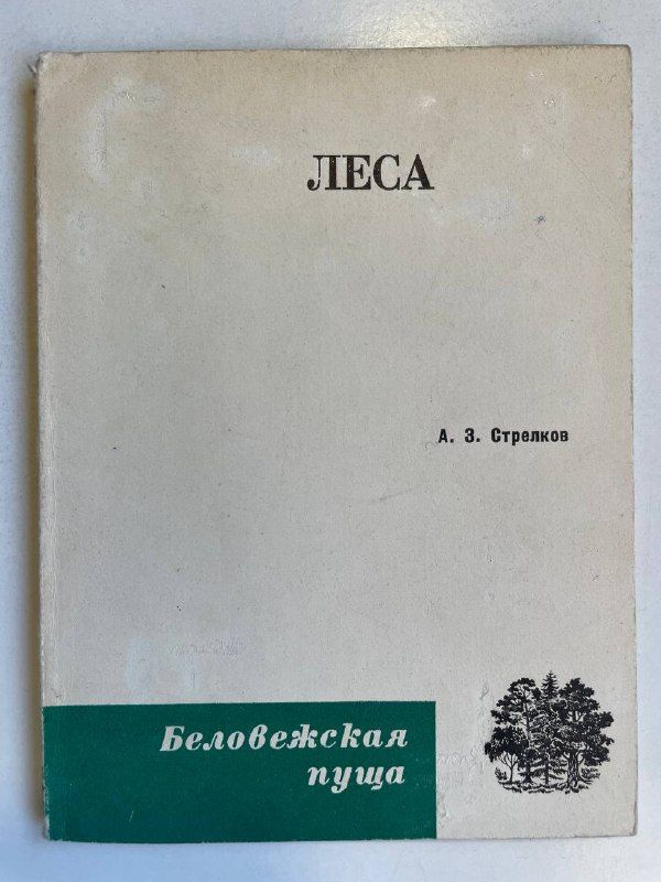 Леса | Стрелков А. К. #1