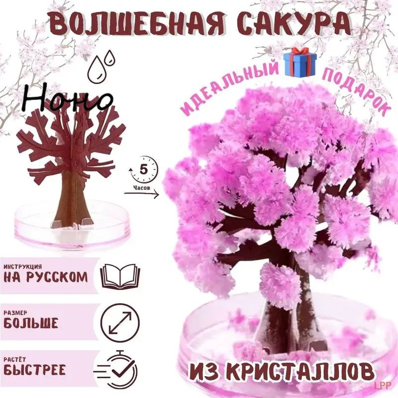 Набор для опытов #1