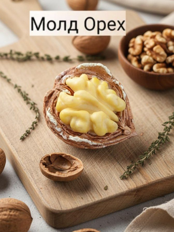 Молд орех #1