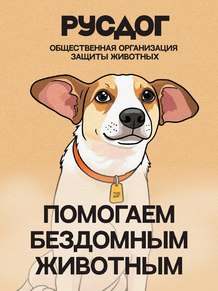 Благотворительный сертификат фонда "РусДог" #1