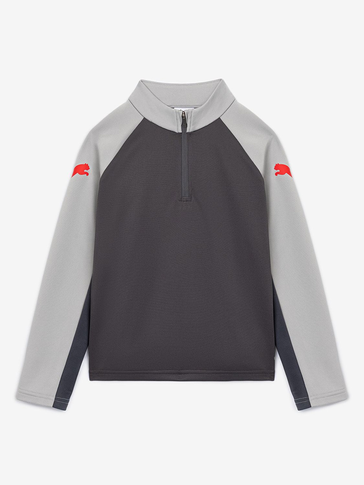 Футболка PUMA IndividualLIGA 1/4 Zip Top Jr #1