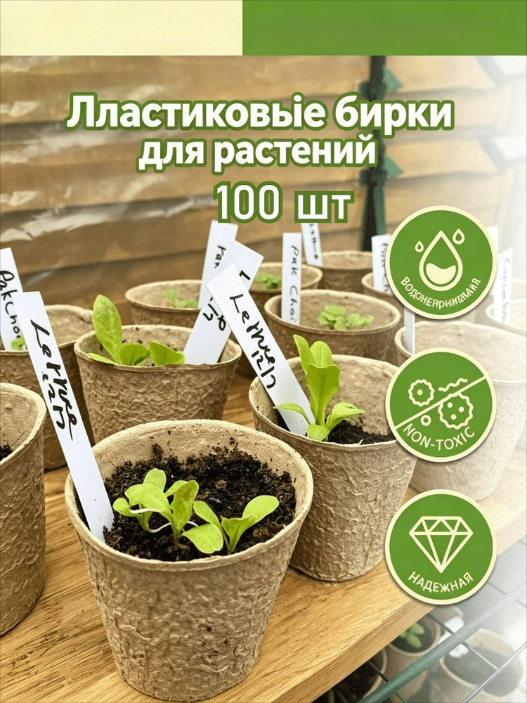  Этикетка #1