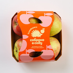 Яблоки Хонейкрисп, 4 шт, Собрано в саду Скидки недели