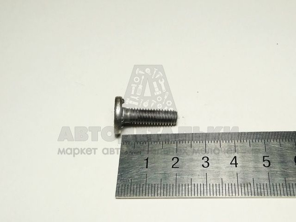 Болт М 6*1*20 с квадрат. головой (БелЗАН)(уп. 20 шт)