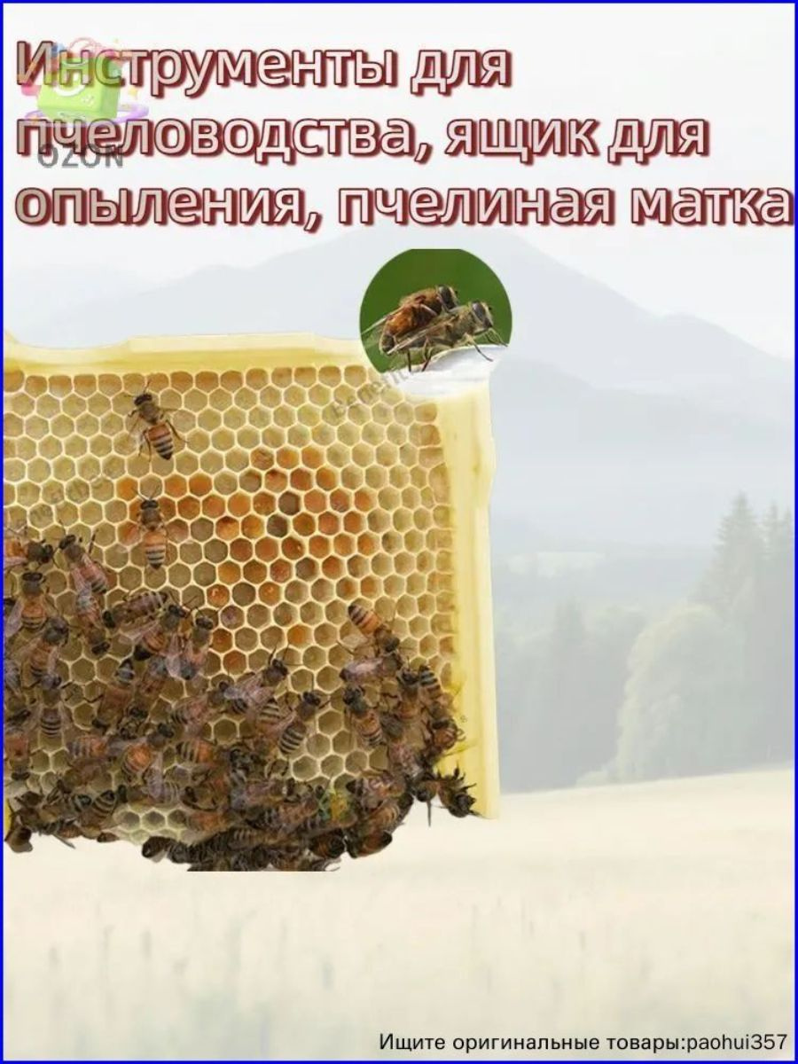 оборудование для пасеки