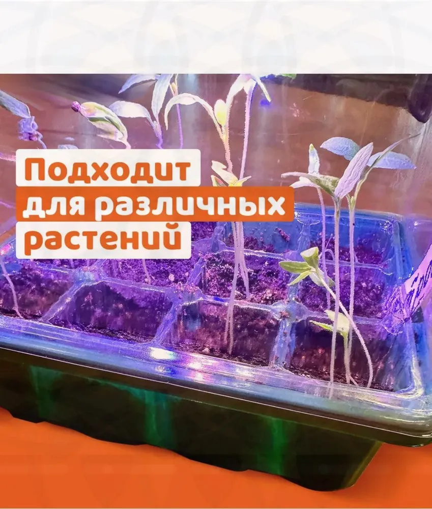 Парник, теплица мини 0.2х0.195х0.19 м abs пластик, 0.2x0.195x0.19 м, фото 6