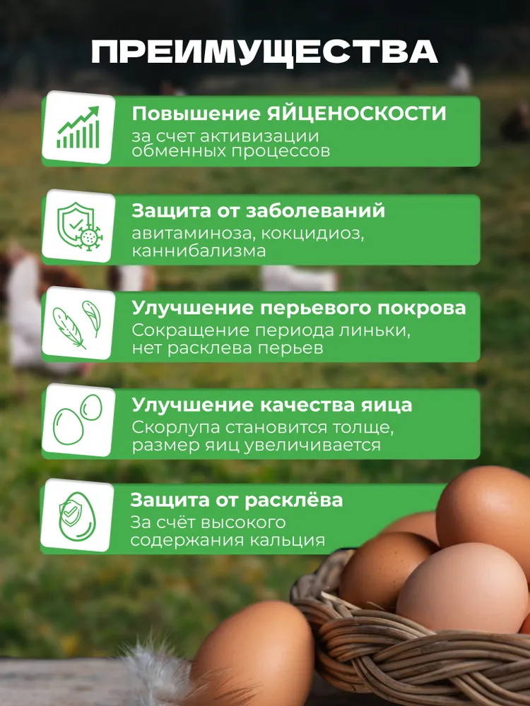 Премикс "Донская Усадьба" для кур несушек витамины для яйценоскости, от расклева яиц, укрепление скорлупы, 500 гВитамины для кур несушек для яйценоскости, премикс от расклева яиц курам, 500 гр, 500 г, фото 6