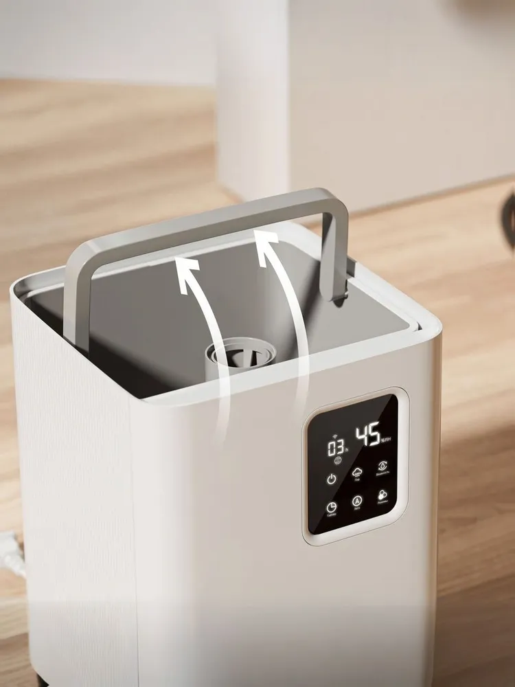 Xiaomi Deerma DEM-F951W