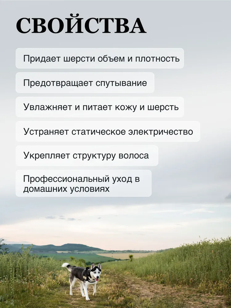 Выгодный набор шампунь для собак и кондиционер Medio для всех пород со средней шерстью, Iv San Bernard, Италия, 300+300 мл, 300 мл, фото 2