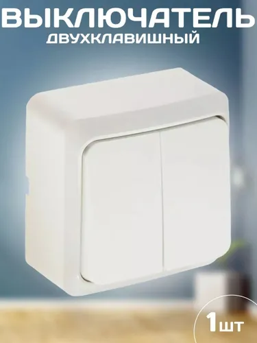 Выключатель накладной двухклавишный