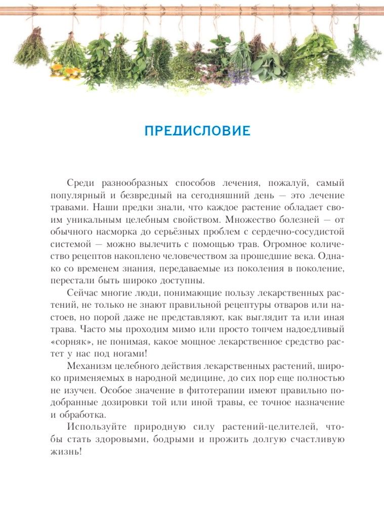 РАСТЕНИЯ ОТ ВСЕХ БОЛЕЗНЕЙ. Иллюстрированный атлас | Plants for All Diseases: An Illustrated Atlas - Ozon image 5