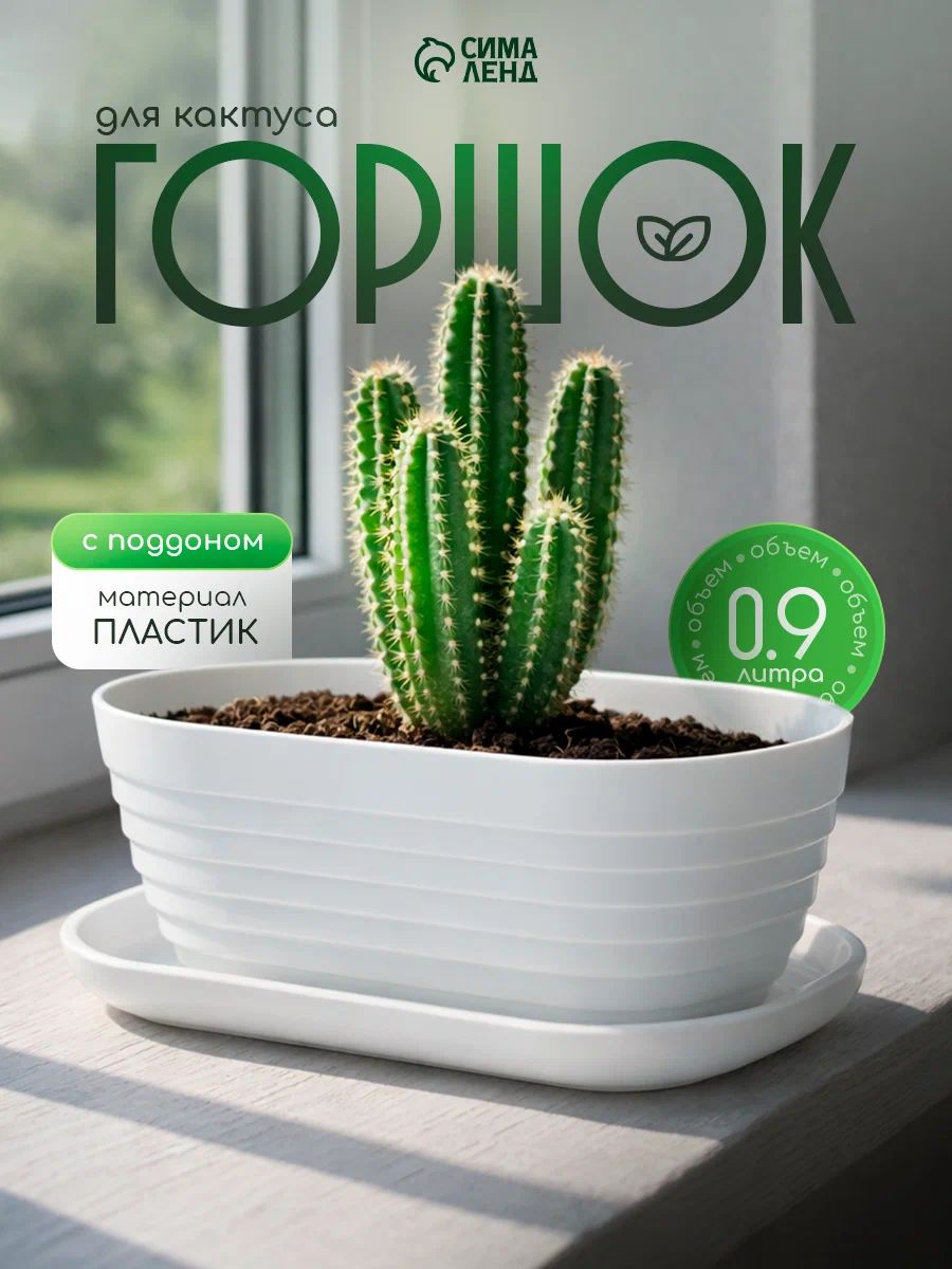 Горшок для суккулентов 0,9 л "Алиса" с поддоном, белый пластиковый, горшок для кактусов