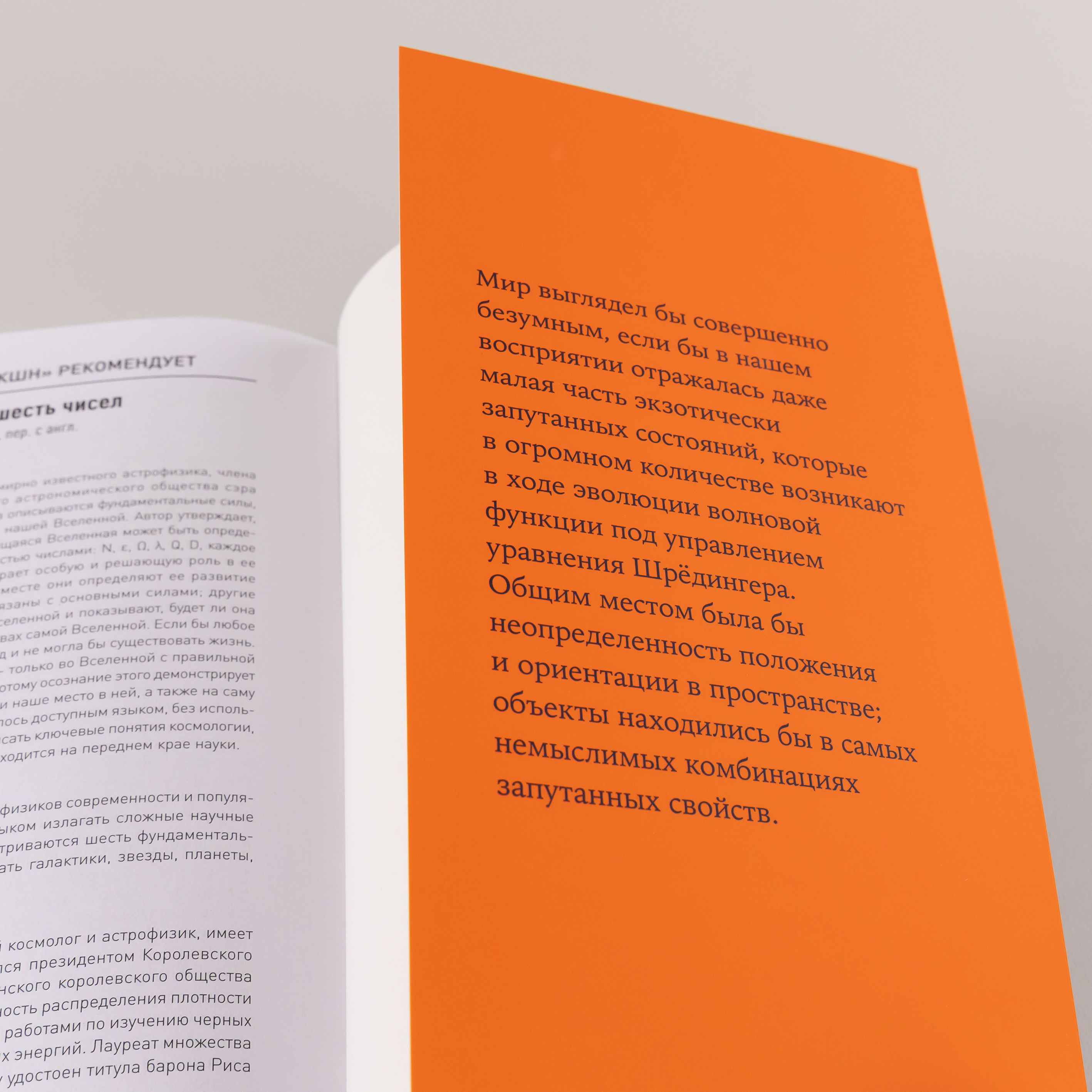 Сто лет недосказанности: Квантовая механика для всех в 25 эссе | A Century of Unspoken: Quantum Mechanics for Everyone in 25 Essays - Ozon image 7