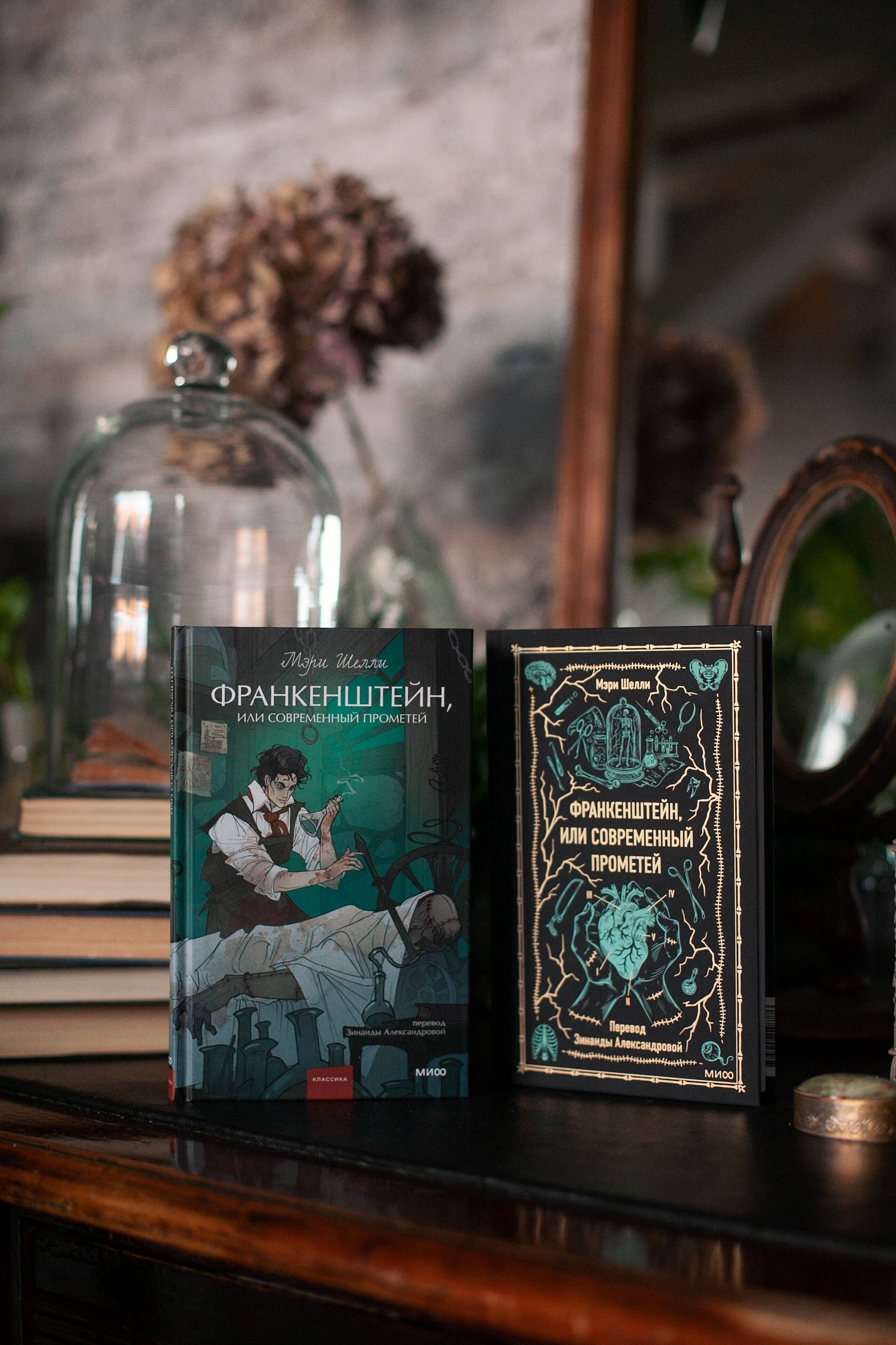 Франкенштейн, или Современный Прометей. Вечные истории | Frankenstein, or Modern Prometheus. Eternal Stories - Ozon image 7
