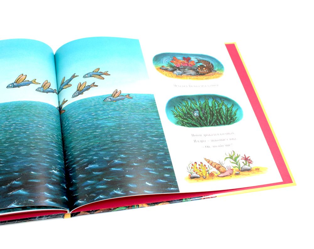 Тюлька. Маленькая рыбка и большая выдумщица | Tiddler: The Story-Telling Fish - Ozon image 4