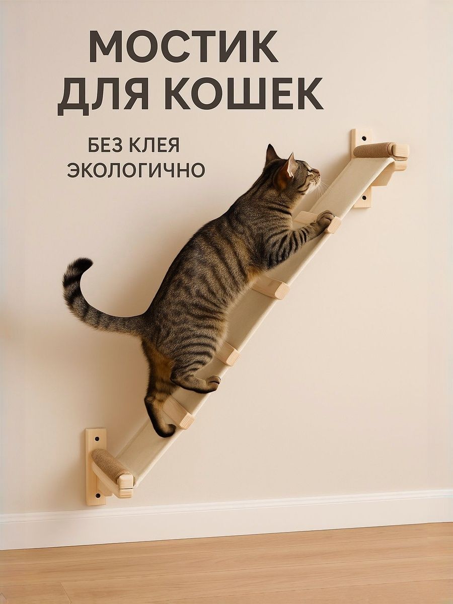 Мостикдлякошек