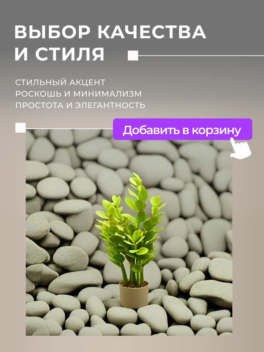 Замиакулькас 90cm DS2021-089 Китай