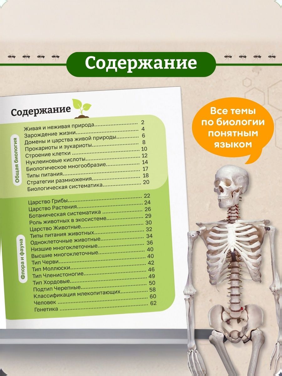 Детская энциклопедия, Буква-Ленд, "Биология для детей", энциклопедия для детей 7+ | Reference Book - Ozon image 2