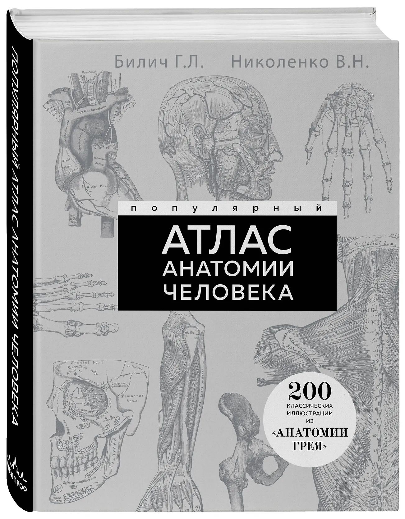 «Популярный атлас анатомии человека» — это оптимальный объем базовых знаний...
