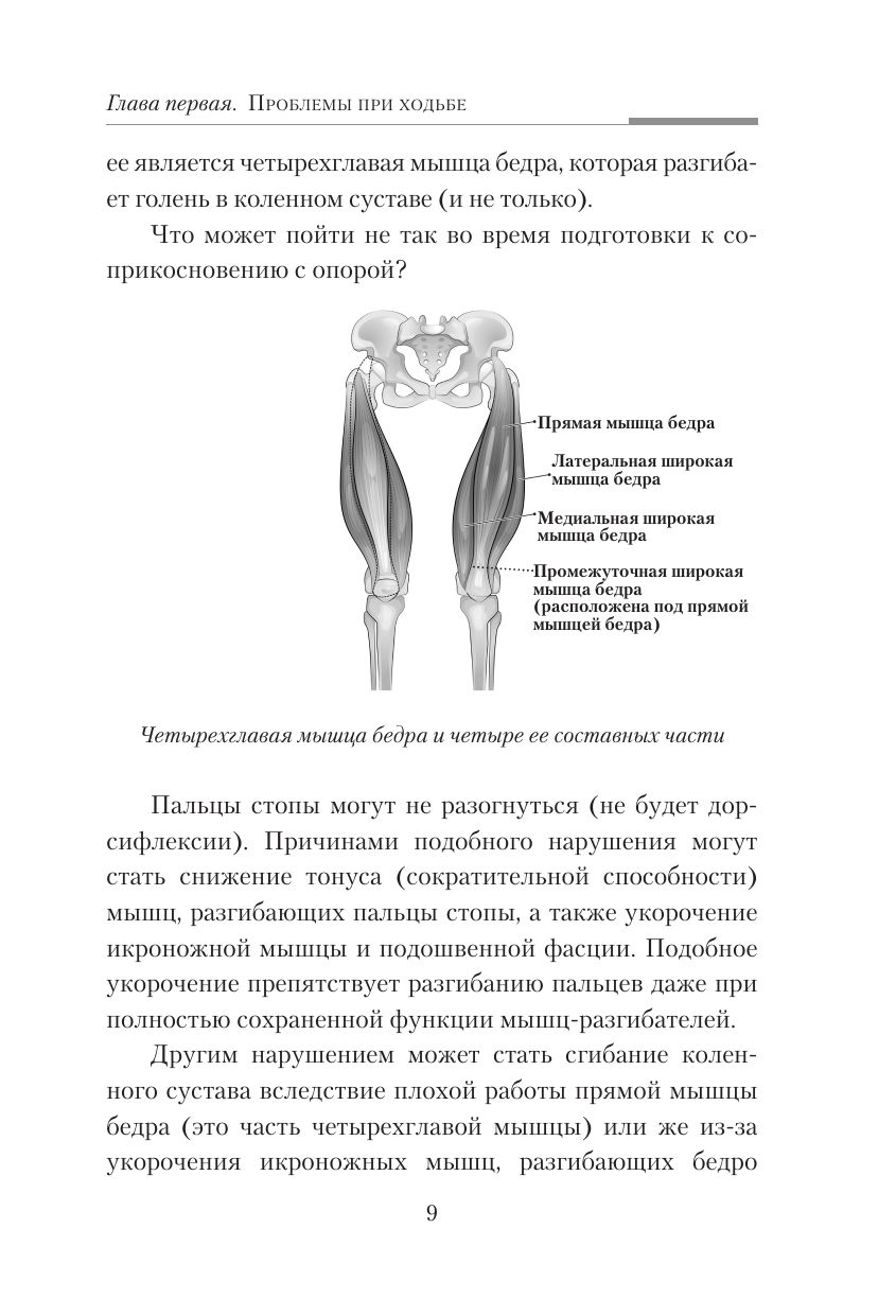 Практическая кинезиология. Упражнения для мышц-халтурщиц | Practical Kinesiology: Exercises for Underperforming Muscles - Ozon image 7