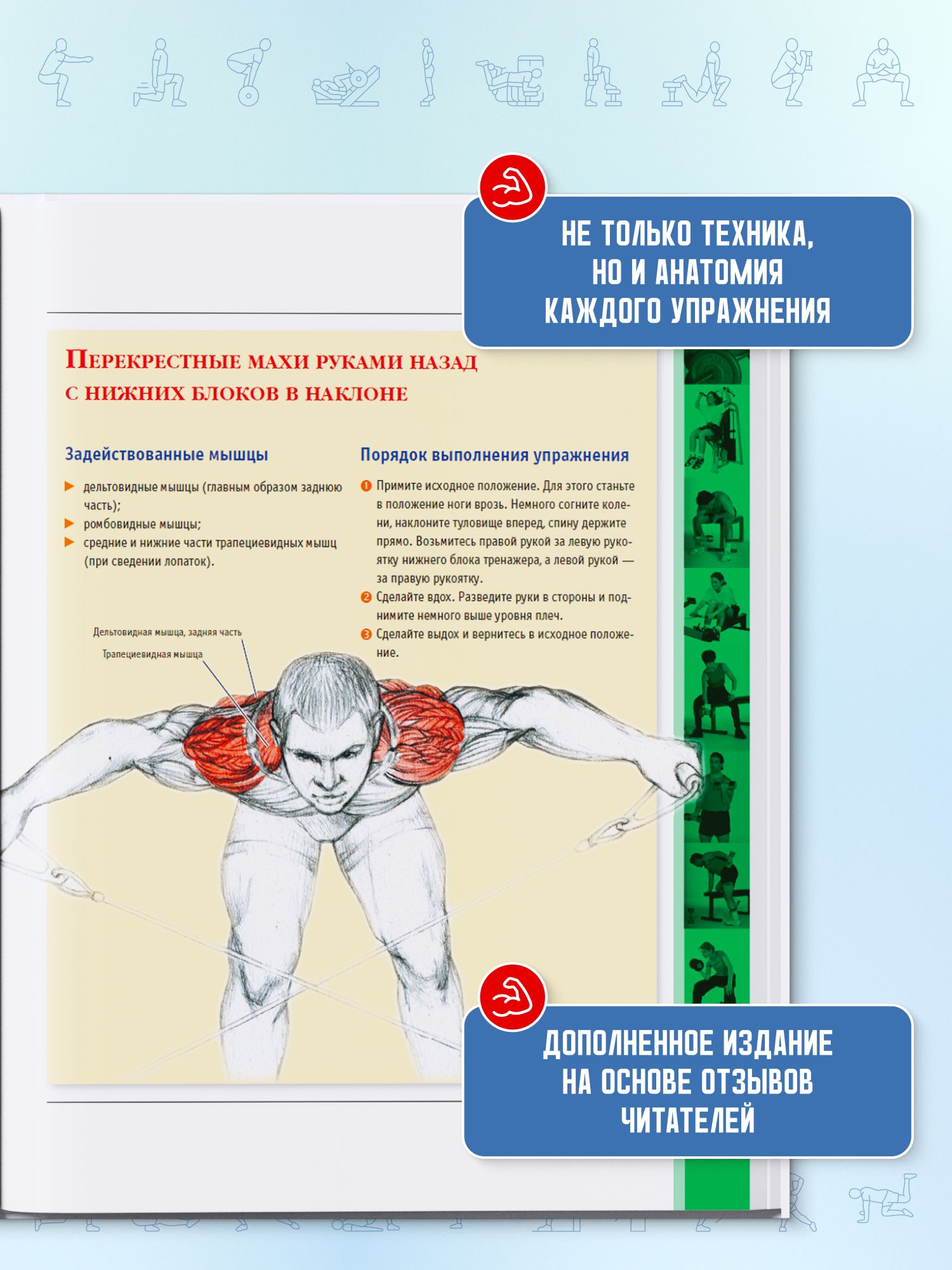 Анатомия силовых упражнений для мужчин и женщин | Reference Book - Ozon image 2