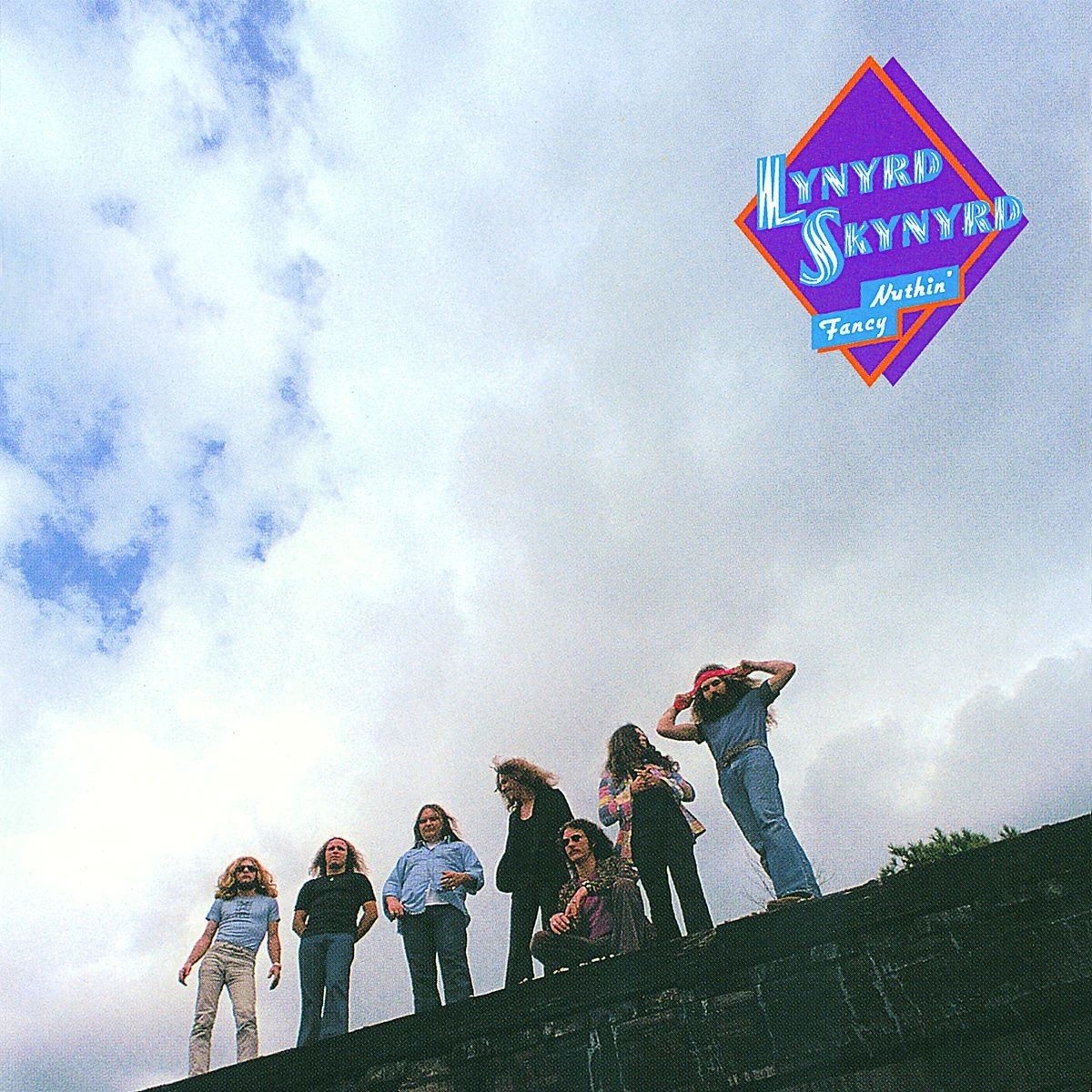 lynyrd skynyrd rare album cover net worth