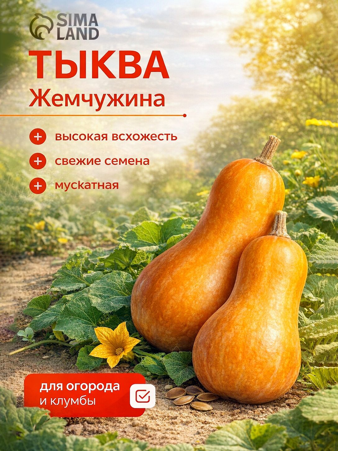 Семена тыквы мускатной Жемчужина / урожайный сладкий сорт