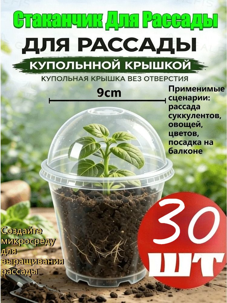 Кассетадлярассады