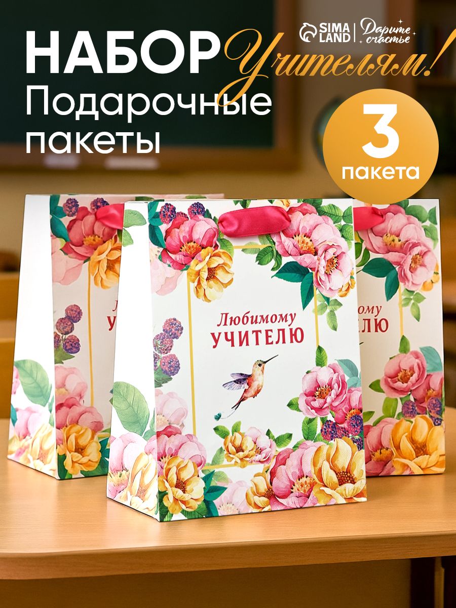 Пакеты подарочные учителю, набор 3 шт, 18 х 23 х 10 см