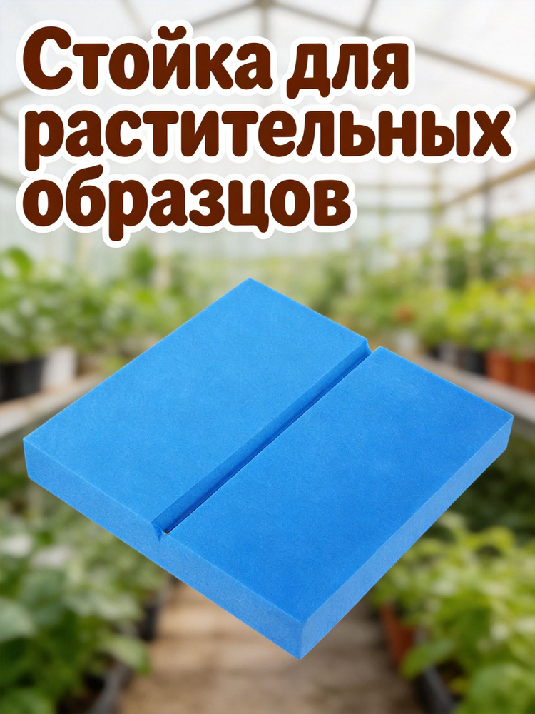 Пенокартон #1