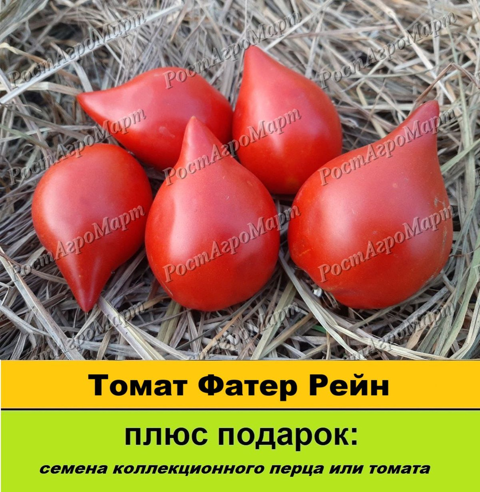 Семена #1