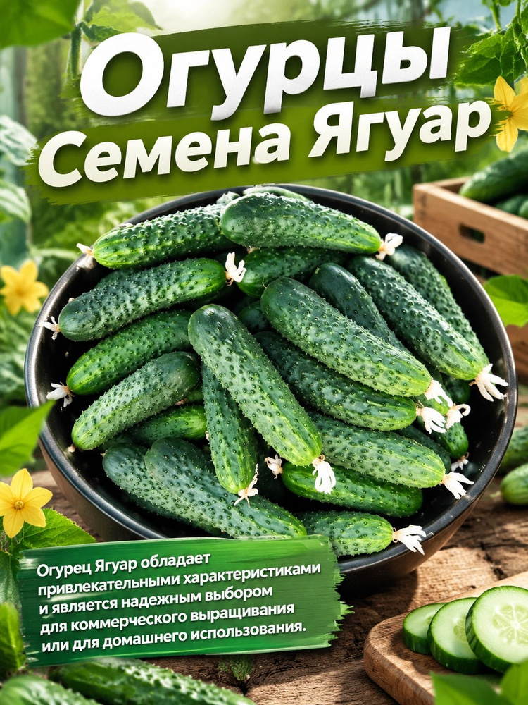 Семена ,10шт #1