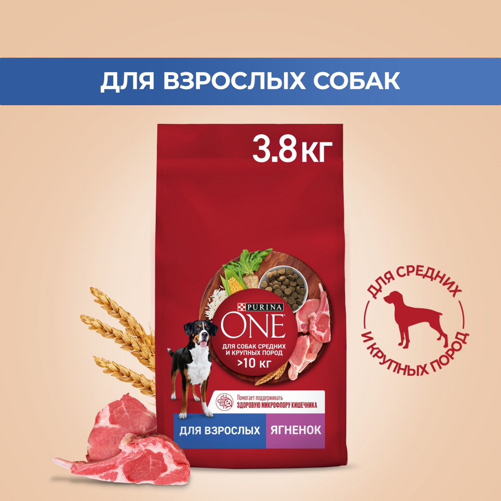 Сухой корм для собак Purina ONE для средних и крупных пород, с ягненком и  рисом, 3,8 кг